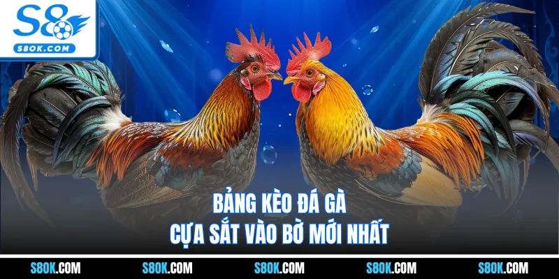 Bảng kèo đá gà cựa sắt vào bờ mới nhất