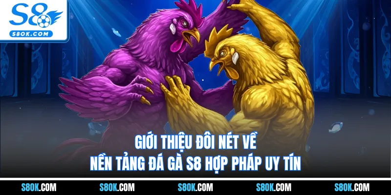 Giới thiệu đôi nét về nền tảng đá gà S8 hợp pháp uy tín