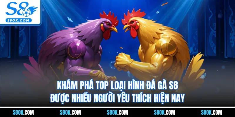 Khám phá top loại hình đá gà S8 được nhiều người yêu thích hiện nay