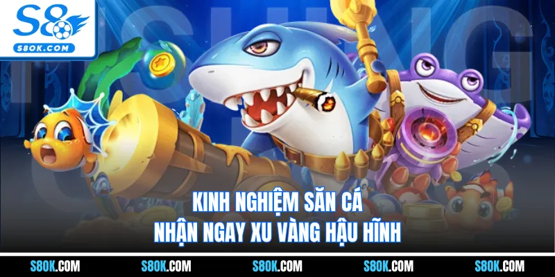 Kinh nghiệm săn cá nhận ngay xu vàng hậu hĩnh