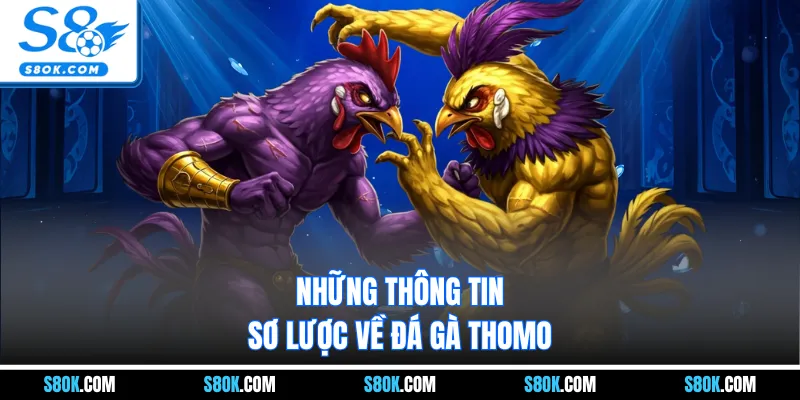 Những thông tin sơ lược về đá gà Thomo
