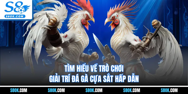 Tìm hiểu về trò chơi giải trí đá gà cựa sắt hấp dẫn